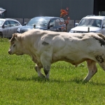 WCC Nagy-Britannia 2012 - Helge